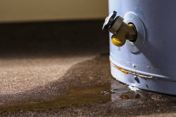 Best Water damage restoration near me  in Druid Hills, GA