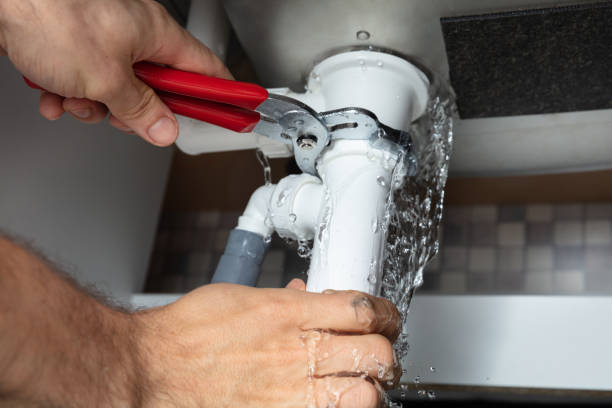 Best Fire Damage Restoration  in Druid Hills, GA