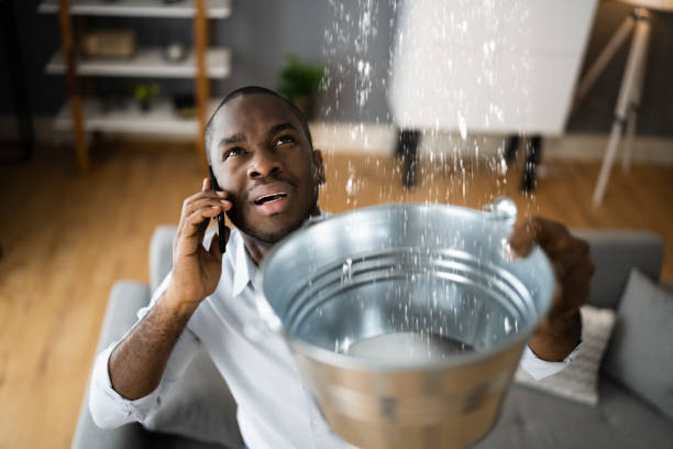 Best Flood damage cleanup  in Druid Hills, GA