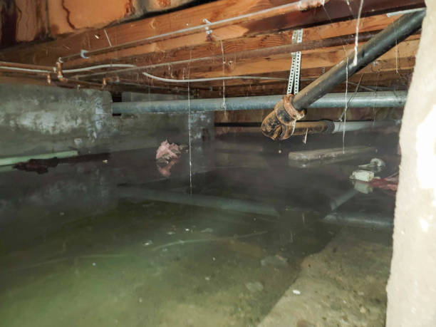 24/7 water damage repair in Druid Hills, GA