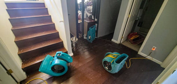 Best Mold removal after water damage  in Druid Hills, GA