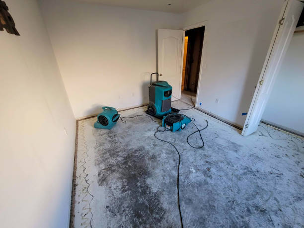 Best Fire Damage Restoration  in Druid Hills, GA