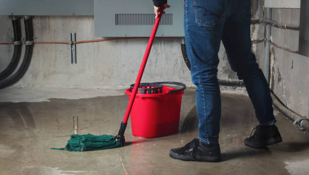 Best 24-hour water damage restoration  in Druid Hills, GA