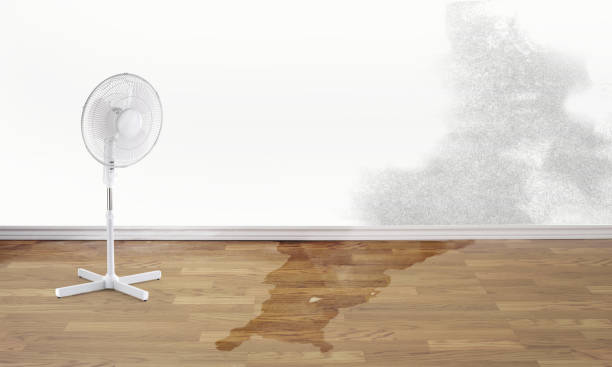 Reliable Druid Hills, GA Water damage restoration Solutions