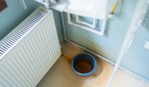 Best Flooded house restoration  in Druid Hills, GA