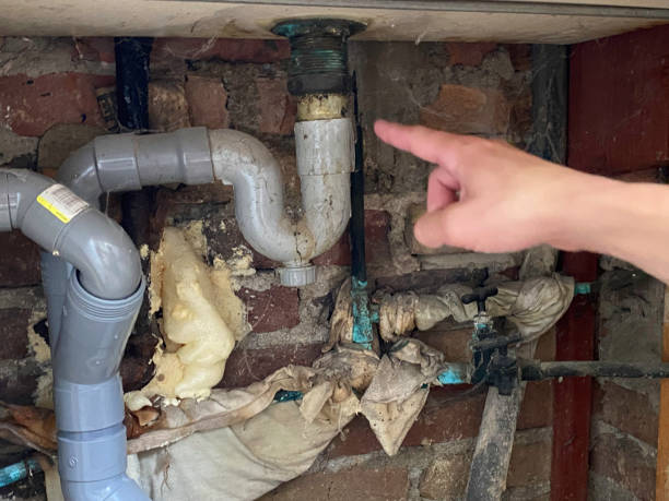 Best Carpet water damage restoration  in Druid Hills, GA