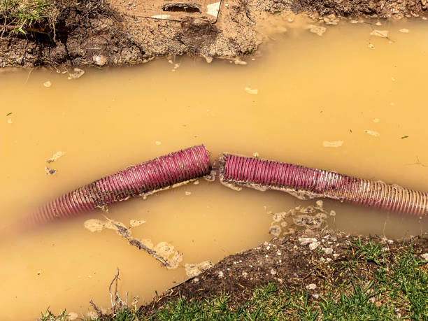 Water damage restoration mold remediation in Druid Hills, GA