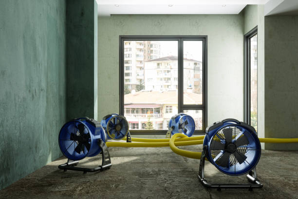 Best Water damage restoration cost  in Druid Hills, GA
